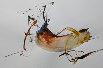 2025, Farbstift und Tusche auf Papier, 29 x 42 cm