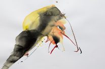 2023, Farbstift und Tusche auf Papier, 29 x 42 cm